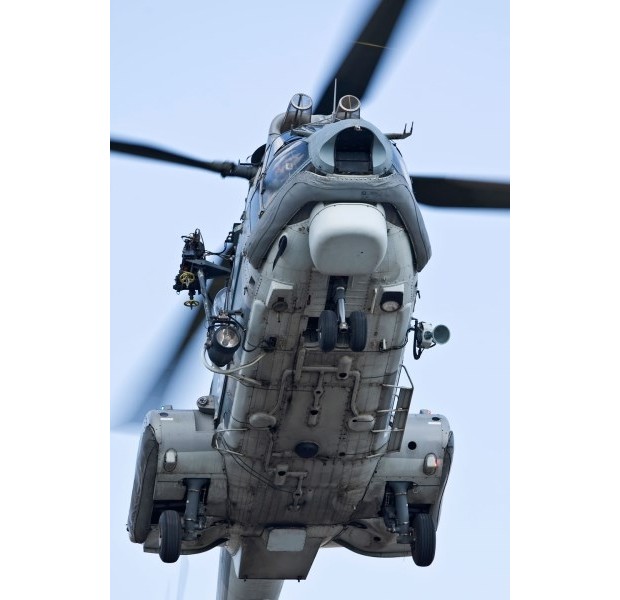 super_puma_GR (1)